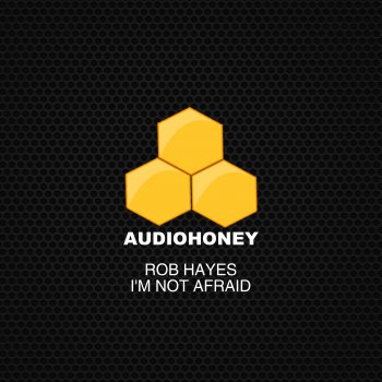 Rob Hayes I'm Not Afraid (Radio Mix)