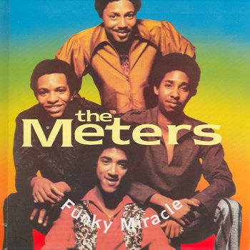 The Meters Fungee