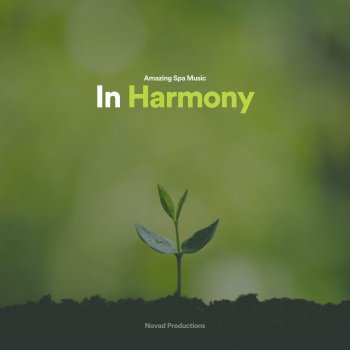 Исполнитель Amazing Spa Music, альбом In Harmony