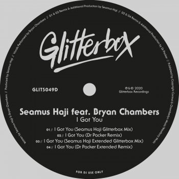 Seamus Haji I Got You (feat. Bryan Chambers) [Dr Packer Remix]