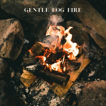 Исполнитель Doctor Sleep, альбом Gentle Log Fire
