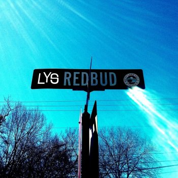 Lys One Day