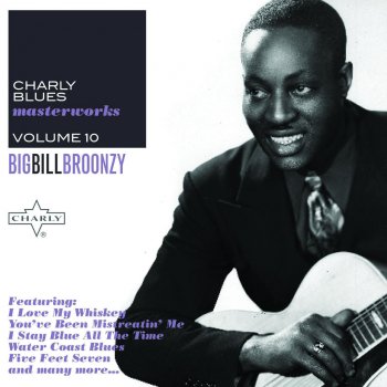 Big Bill Broonzy Walkin' Down a Lonesome Road