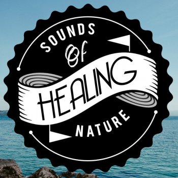 Healing Sounds for Deep Sleep and Relaxation Midday Stream