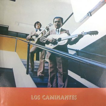 Los Caminantes Te Vi Partir