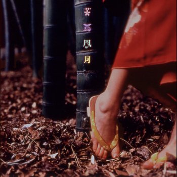 Spitz 死にもの狂いのカゲロウを見ていた