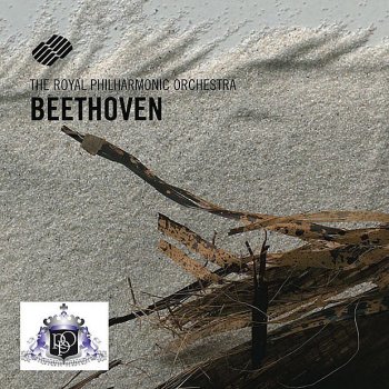 Ludwig van Beethoven feat. Royal Philharmonic Orchestra & Barry Wordsworth Symphony No. 7 In A Major, Op. 92: IV. Allegro con brio