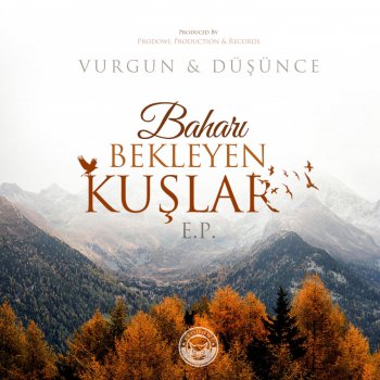 Vurgun Baharı Bekleyen Kuşlar (feat. Düşünce)