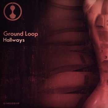 Ground Loop And Your Horse