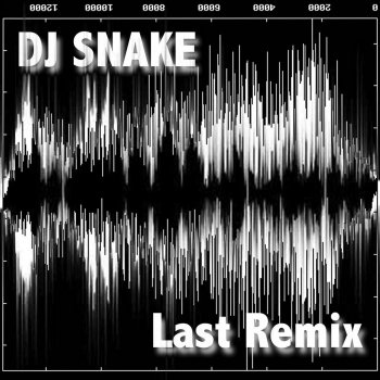 Dj Snake Too Damn Low