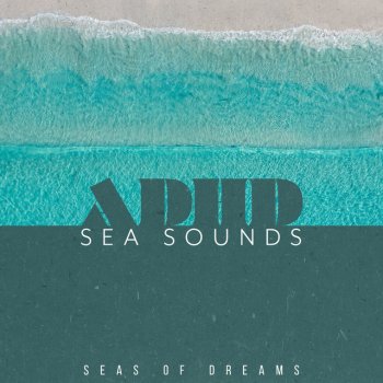 Seas of Dreams Teku Skate