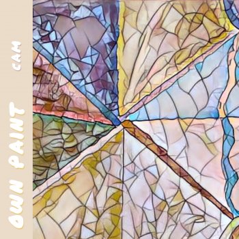 Cam Own Paint