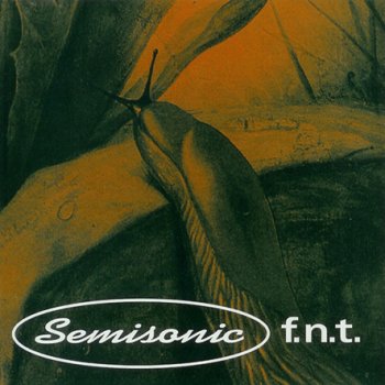 Semisonic F.N.T. (album version)