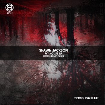 Shawn Jackson feat. Mehmet Özbek My House - Mehmet Özbek Remix