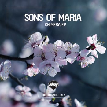 Sons Of Maria Fuchur