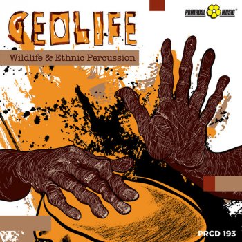 Daniele Benati feat. Alberto Benati & Enrico Pecchini Amazonian Tribes - Percussion