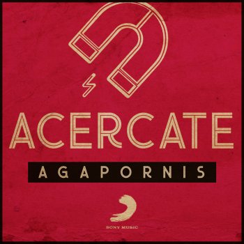 Agapornis Acércate