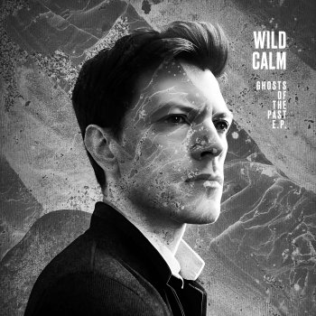 Wildcalm Into The Light