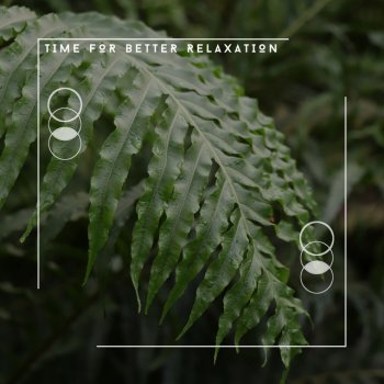 Relaxing Chill Out Music Stars & Spirits