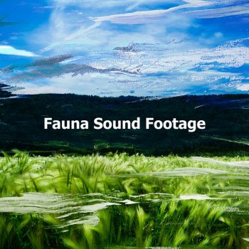 Nature Recordings Waterfowl Nutrients
