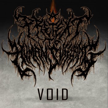 Исполнитель A Pretext to Human Suffering, альбом Void - Single