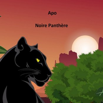 APO Noire panthère