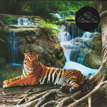 LONE Abraxas