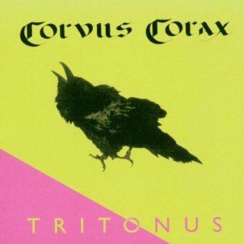Corvus Corax Saltarello Venusti