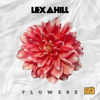 Lexa Hill Flowerz