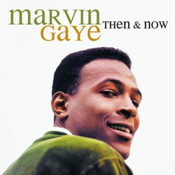 Marvin Gaye Soulie