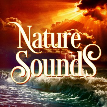 Nature Sounds feat. Nature Sounds Nature Music American Robin