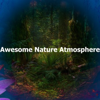 Naturae Rested Accurate