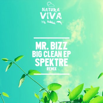 Mr. Bizz Big Clean (Spektre Remix)