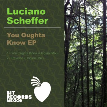 Luciano Scheffer Reverse