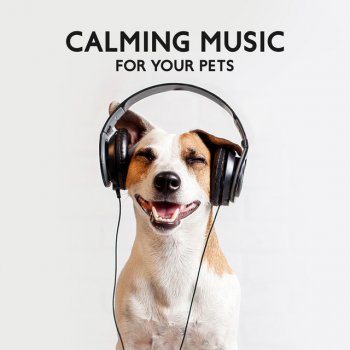 Pet Music Academy Dog's Favourite Music