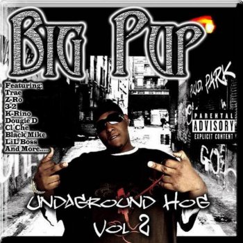 Big Pup feat. Coop D Da King Da Saga