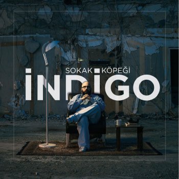 Indigo Sokak Köpeği