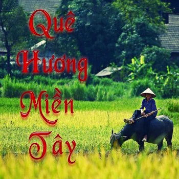 Hồ Trung Dũng Doi Da Vang