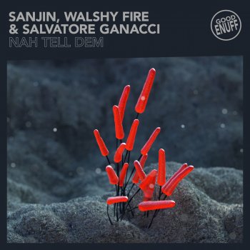 Sanjin feat. Walshy Fire & Salvatore Ganacci Nah Tell Dem