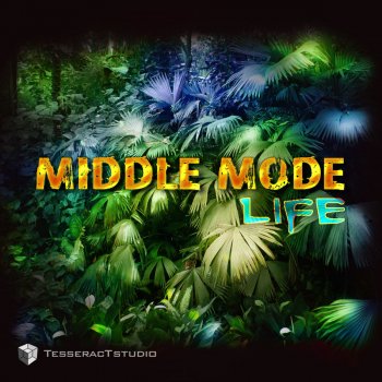 Middle Mode Life - Original Mix