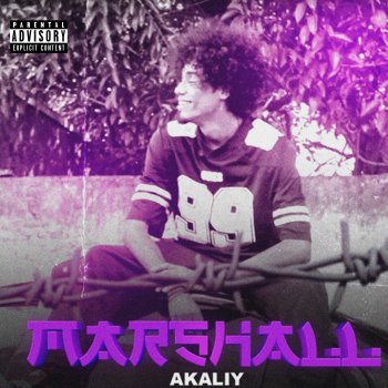 Исполнитель Akaliy, альбом Marshall