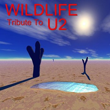 Wildlife Beautiful Day