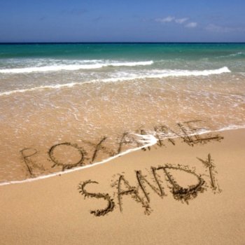 Sandy Call Me Back