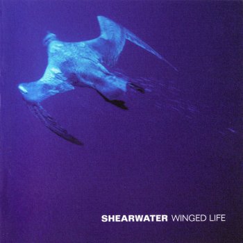 Shearwater Sealed