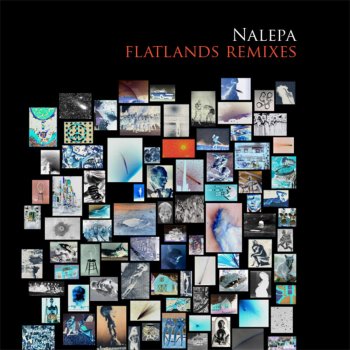 Nalepa Flatlands (Nosaj Thing Remix)