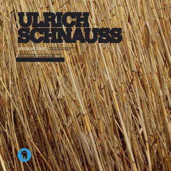 Ulrich Schnauss feat. Pia Fraus Ships Will Sail - Pia Fraus Version