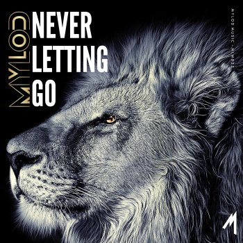 Mylod Never Letting Go (Instrumental Mix)