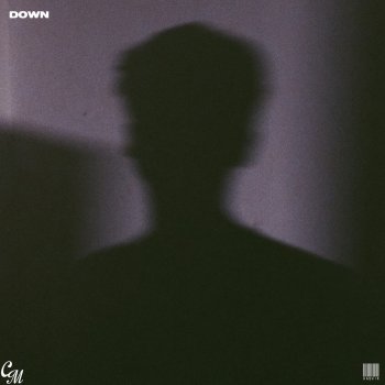 Hashir Down