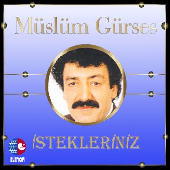 Müslüm Gürses Sebep