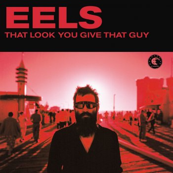 Eels Devil's Dog